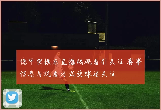 德甲樊振东直播线观看引关注 赛事信息与观看方式受球迷关注