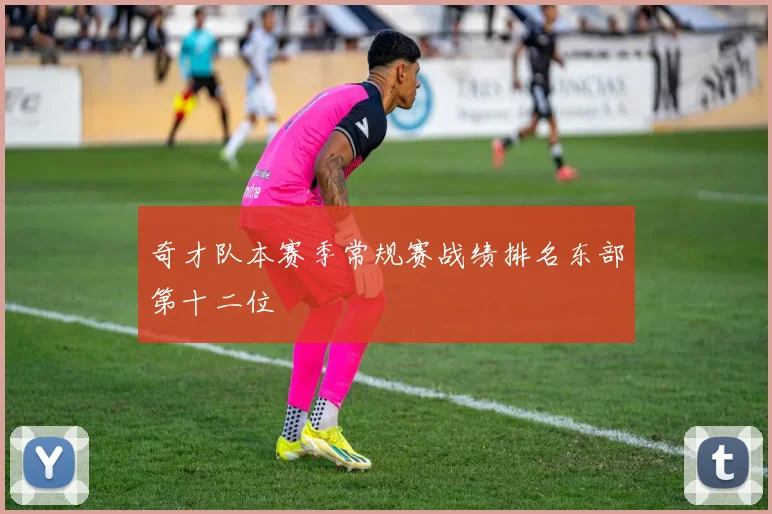 奇才队本赛季常规赛战绩排名东部第十二位